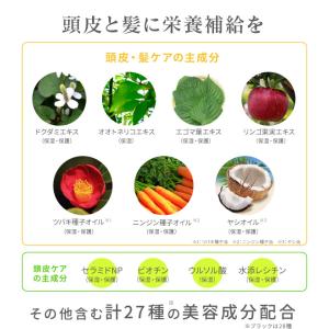 TSヘアーメイクファンデーション 特別セット ...の詳細画像3