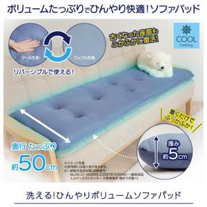 2人掛用 ニーズ 洗える!ひんやりボリュームソ...の詳細画像1