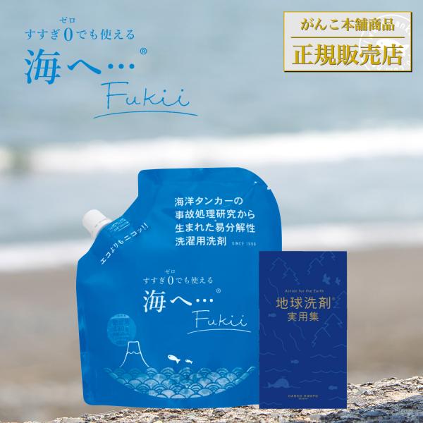 地球洗剤実用集 豆本 海へ…Fukii 詰め替えパック 380g お洗濯まるわかりセット がんこ本舗
