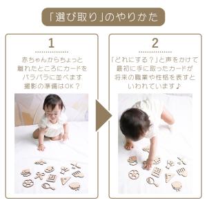 名入れ無料 選び取りカード 12種類 職選びカ...の詳細画像3