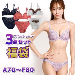 福袋 ブラジャー ブラショーツセット ブラセット 下着 レディース 2022 A B C D E F...