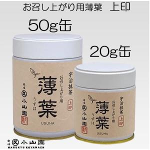 抹茶 宇治 丸久小山園 白蓮 100g袋 （びゃくれん） 製菓 緑茶 加工用