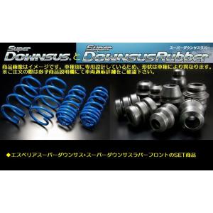 ＲＶＲ4WDディーゼルターボ型式N28WエスペリアSuperDOWNSUSと[ダウンサスラバーフロン...