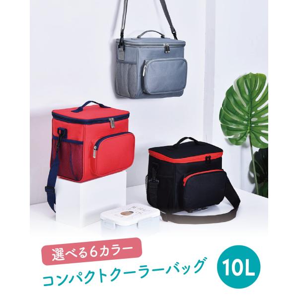 クーラーボックス クーラーバッグ 保冷バッグ 10L 折りたたみ かわいい おしゃれ コンパクト R...