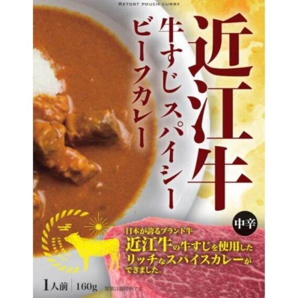 【賞味期限間近】近江牛すじスパイシーカレー