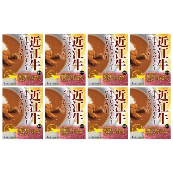 【賞味期限間近】【8個セット】近江牛すじスパイシーカレー