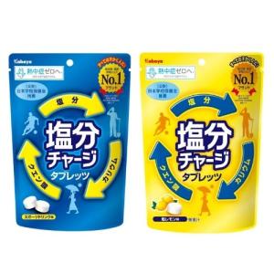 カバヤ食品 塩分チャージタブレッツ【スポーツドリ...の商品画像