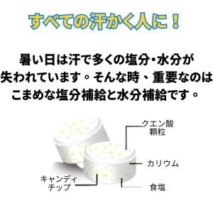 カバヤ食品 塩分チャージタブレッツ【スポーツド...の詳細画像2