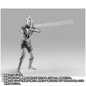 2027年3月発売 予約 S.H.Figuar...の詳細画像3