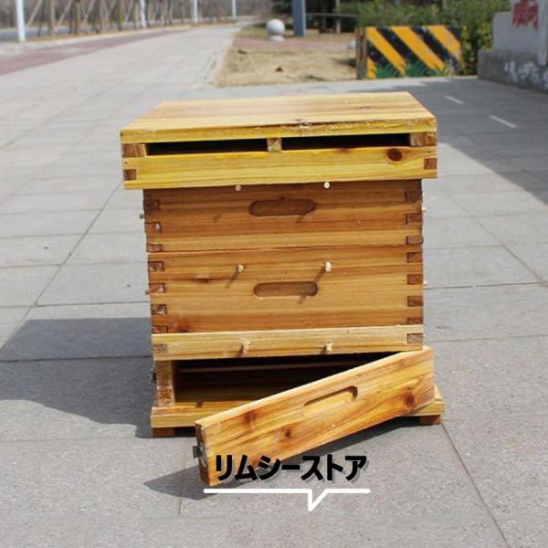 3/5階 蜜蜂巣箱 ミツバチ 巣箱 重箱式 養蜂箱 杉材 蜂ハイブ 格子箱 煮蝋 蜜蜂飼育箱 巣枠不...