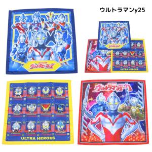 ナフキン 3枚セット ランチクロス 給食 女の...の詳細画像2