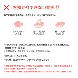 宅配クリーニング 保管12ヶ月無料 毛布 送料...の詳細画像4