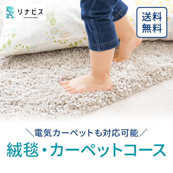 宅配 絨毯・カーペットクリーニング ラグ 電気カーペット 緞通 マット 玄関マット 防ダニ