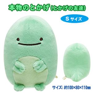 すみっコぐらしとかげの友達のとかげ本物の商品一覧 通販 Yahoo ショッピング