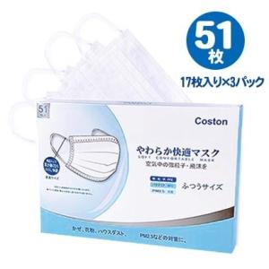 不織布マスク(51枚入)白 送料無料 ホワイト...の詳細画像1