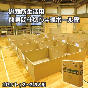 簡易間仕切り 避難所間仕切り ダンボール 段ボール 避難所生活用 簡易間仕切り+暖ボール畳 DPM(4平方メートル用/1組) 代引き不可｜ring-g