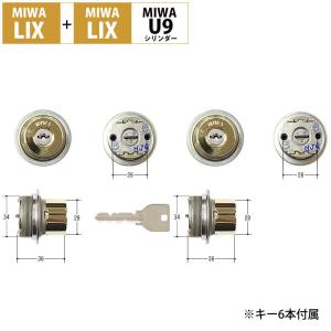 ALPHA（アルファ）新日軽主用錠ケース ACY-33 34 45用 C8NDL229P2