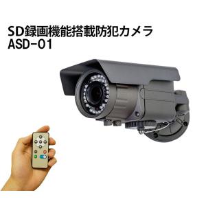 防犯カメラ 屋外 SDカード録画 防水 IP66 赤外線 動体検知 フルハイビジョン  ASD-01｜ring-g