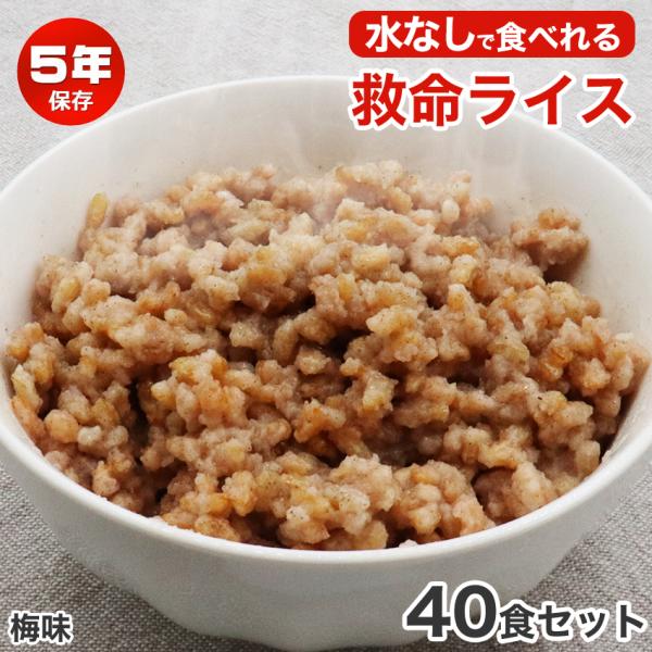 水なしで食べれる 非常食 ご飯 5年保存 水不要 救命ライス おすすめ 美味しい 保存食 防災食 備...