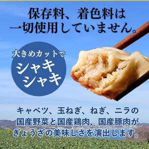 リンガーハット ぎょうざ 餃子 冷凍 冷凍食品...の詳細画像5