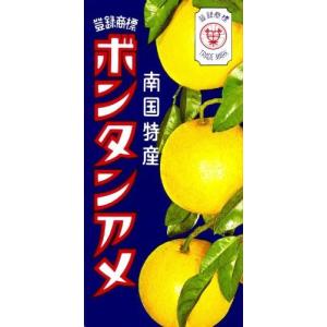 セイカ食品 ボンタンアメ 14粒*10箱