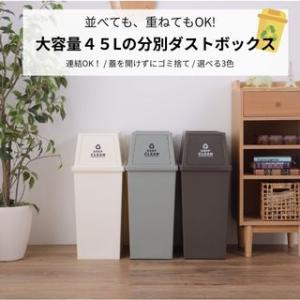 ゴミ箱 45リットル 分別 スタッキング 蓋付き ダストボックス 前開き 縦型 積み重ね可能 キッチ...