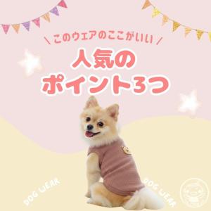 犬 猫 犬服 猫服 春 着せやすい 格安 柔ら...の詳細画像2
