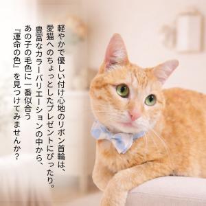 猫 首輪 子猫 セーフティバックル おしゃれ ...の詳細画像5