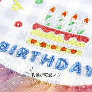 犬用スタイ 猫用スタイ 誕生日 帽子セット よ...の詳細画像3