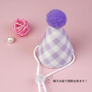 犬用スタイ 猫用スタイ 誕生日 帽子セット よ...の詳細画像4