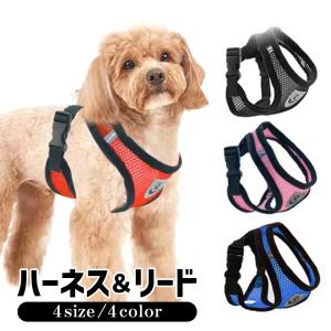 BURBERRY バーバリー ドッグリード 8073365 レザー バーバリー