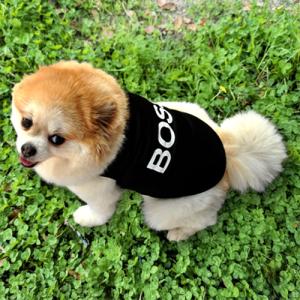 犬服 ドッグウェア 薄手 オールシーズン カラ...の詳細画像2