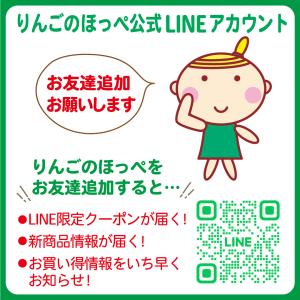 メンズソックス 10足セット 男性 靴下 薄手...の詳細画像4