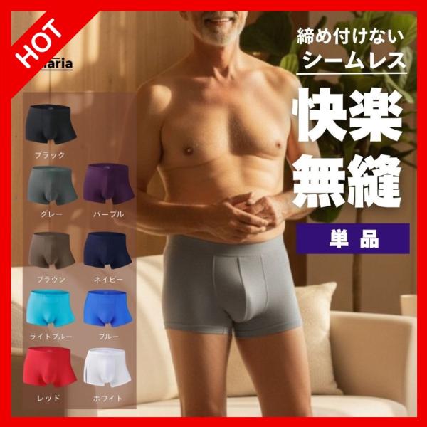 メンズ シームレス パンツ 下着 ボクサー ブリーフ インナー アンダーウェア 男性 アイスシルク ...