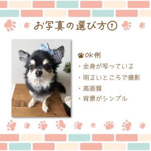 うちの子グッズ 犬 猫 オリジナル ラインスタ...の詳細画像3