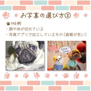 うちの子グッズ 犬 猫 オリジナル ラインスタ...の詳細画像4
