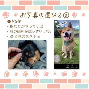 うちの子グッズ 犬 猫 オリジナル ラインスタ...の詳細画像5