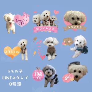 うちの子グッズ 犬 猫 オリジナル ラインスタンプ ペット 手作り ハムスター インコ うさぎ ライン LINE 多頭飼い