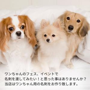 うちの子 名刺 犬 猫 ペットの名刺 ペット ...の詳細画像2