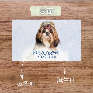 うちの子 名刺 犬 猫 ペットの名刺 ペット ...の詳細画像3
