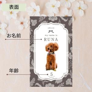 犬 名刺 猫 ペットの名刺 ペット イヌ ネコ...の詳細画像3