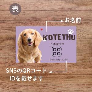 犬 名刺 猫 ペットの名刺 ペット イヌ ネコ...の詳細画像2