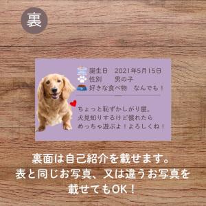 犬 名刺 猫 ペットの名刺 ペット イヌ ネコ...の詳細画像3