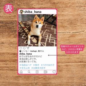 犬 名刺 猫 ペットの名刺 ペット イヌ ネコ...の詳細画像1