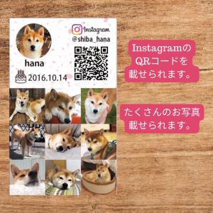 犬 名刺 猫 ペットの名刺 ペット イヌ ネコ...の詳細画像2