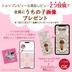 犬 名刺 猫 ペットの名刺 ペット イヌ ネコ...の詳細画像5