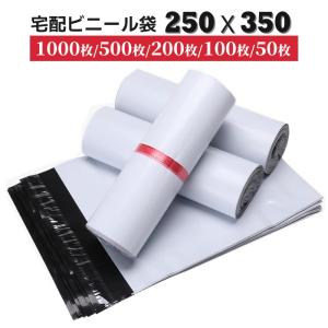 宅配ビニール袋 W250×H345+フタ50 梱...の商品画像