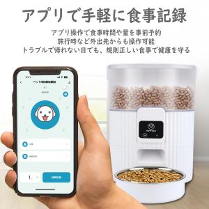 ドギーマン おるすばんサポートフィーダー(自動給餌器) : きちべい