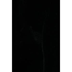 クロムハーツ サイズ:M VELVET TRA...の詳細画像2