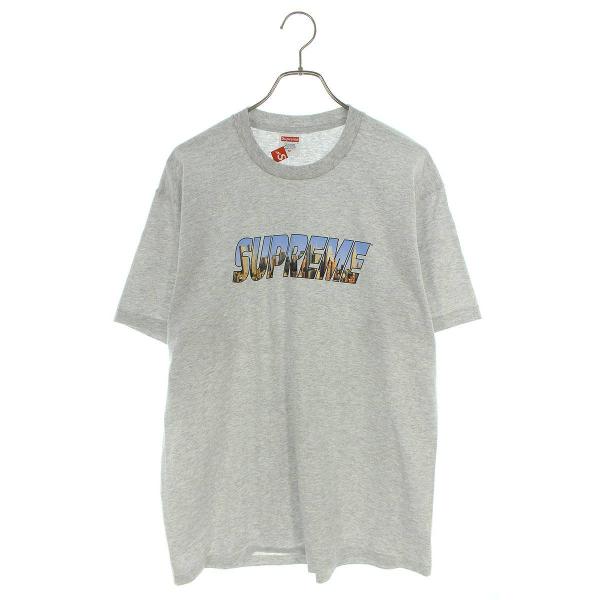 シュプリーム SUPREME 23AW Gotham Tee サイズ:M ゴッサムプリントTシャツ ...